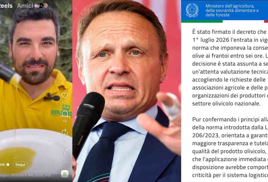La retromarcia di Lollobrigida sulla legge delle olive