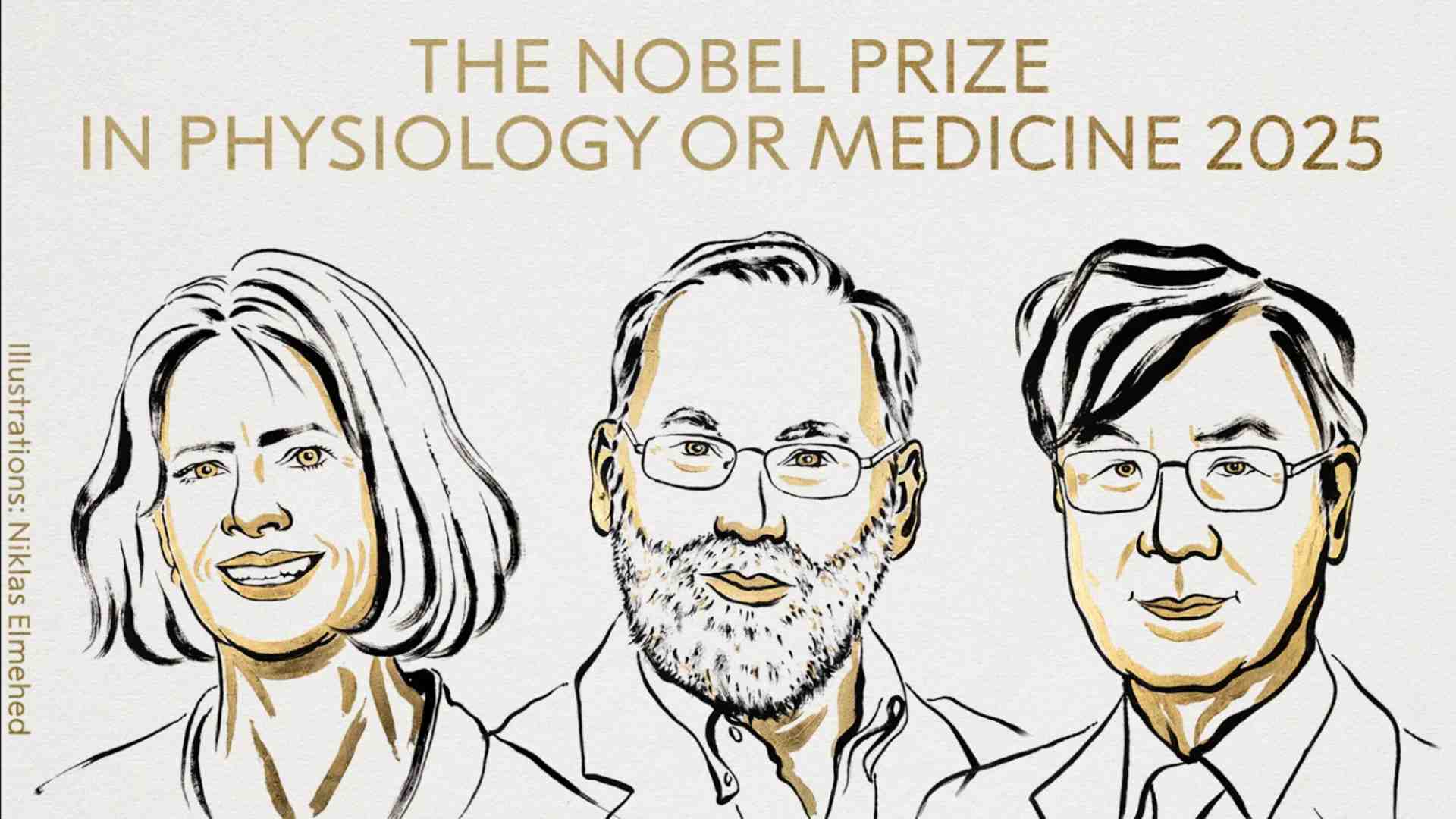 Immagine di Il segreto delle cellule che frenano l’immunità svelato dai Nobel per la Medicina 2025