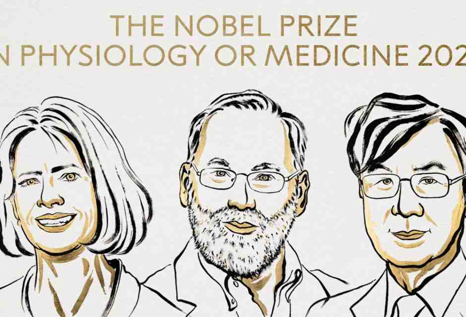 Mary E. Brunkow, Fred Ramsdell e Shimon Sakaguchi hanno vinto il Nobel per la Medicina 2025&nbsp;<br />