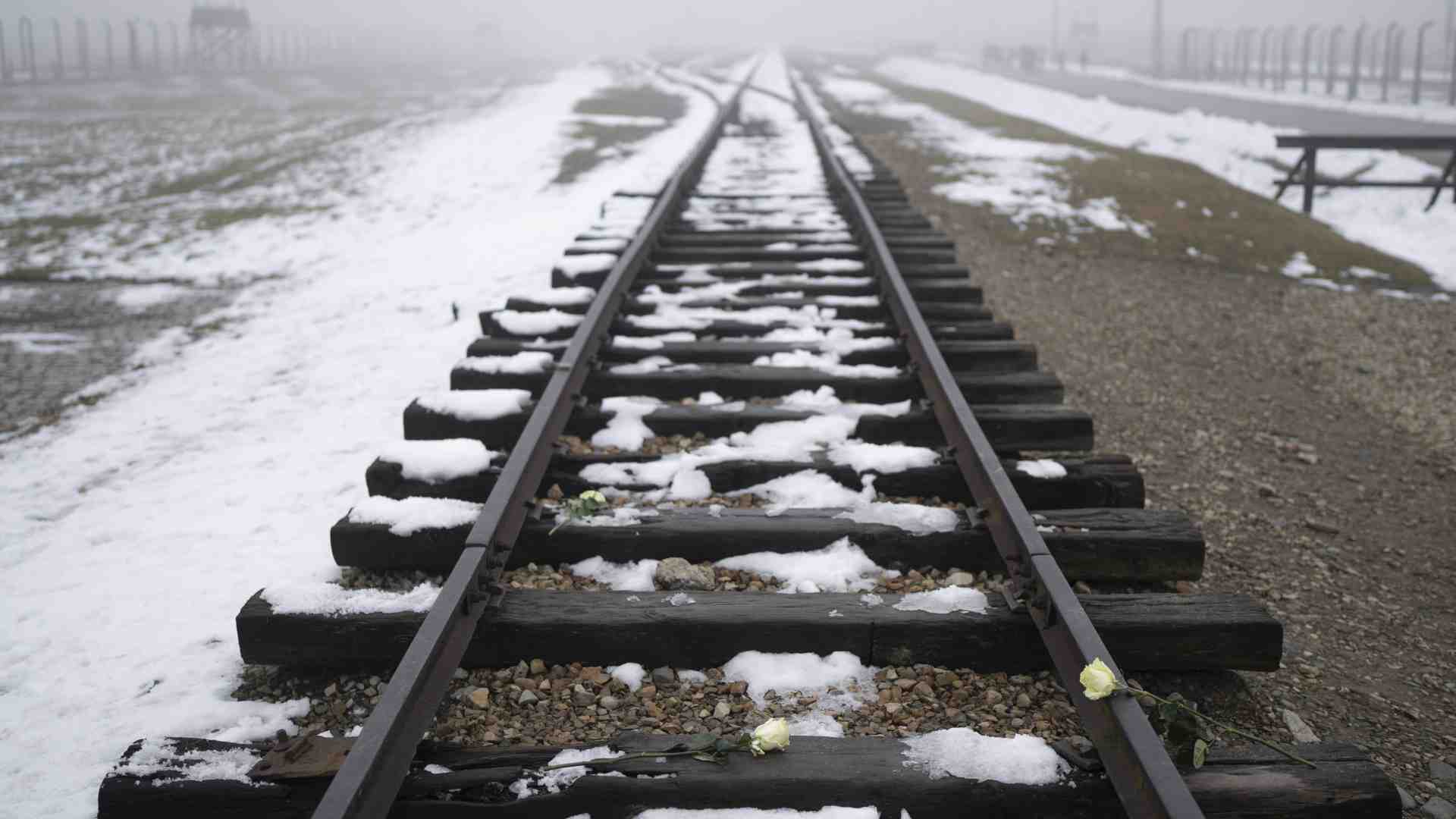 Immagine di Le parole improvvide di Roccella su Auschwitz e la lezione di Guccini