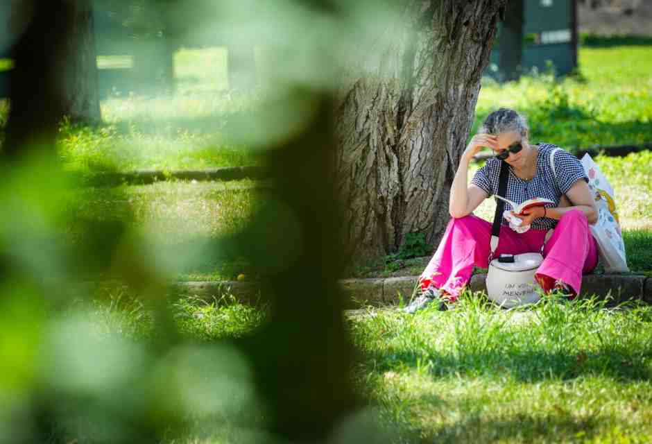 Ansa