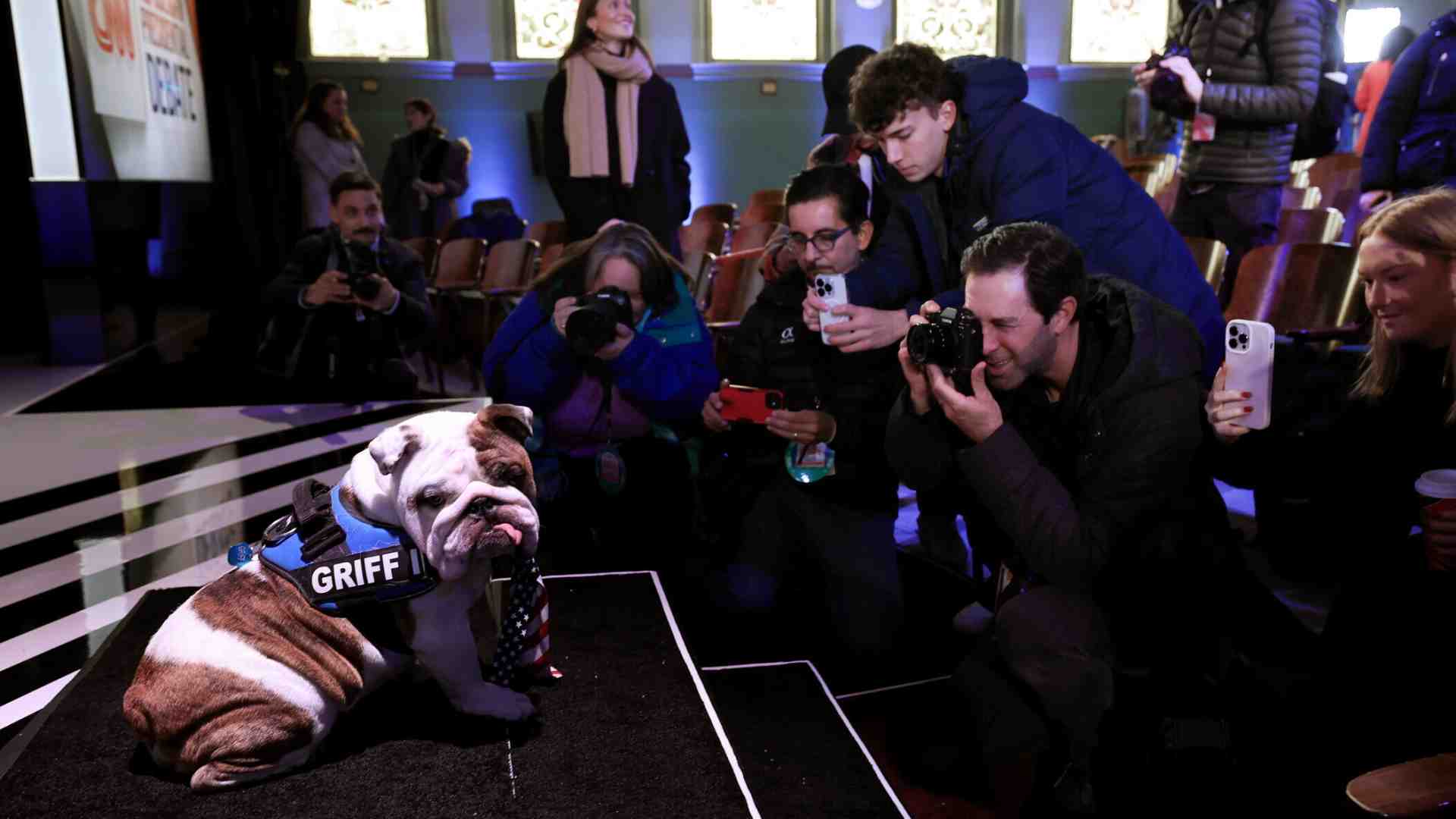 Immagine di Amico bulldog. Così politici e celebrità si sono innamorati