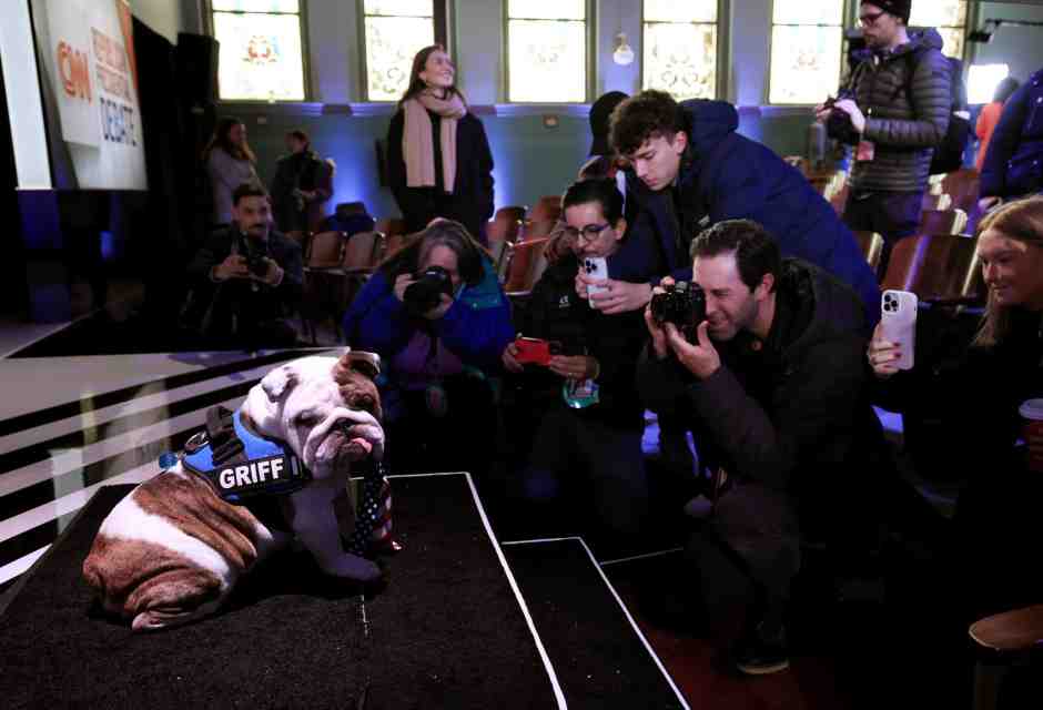 Il cane Griff, mascotte della Drake University in Iowa (foto Getty) <br />
