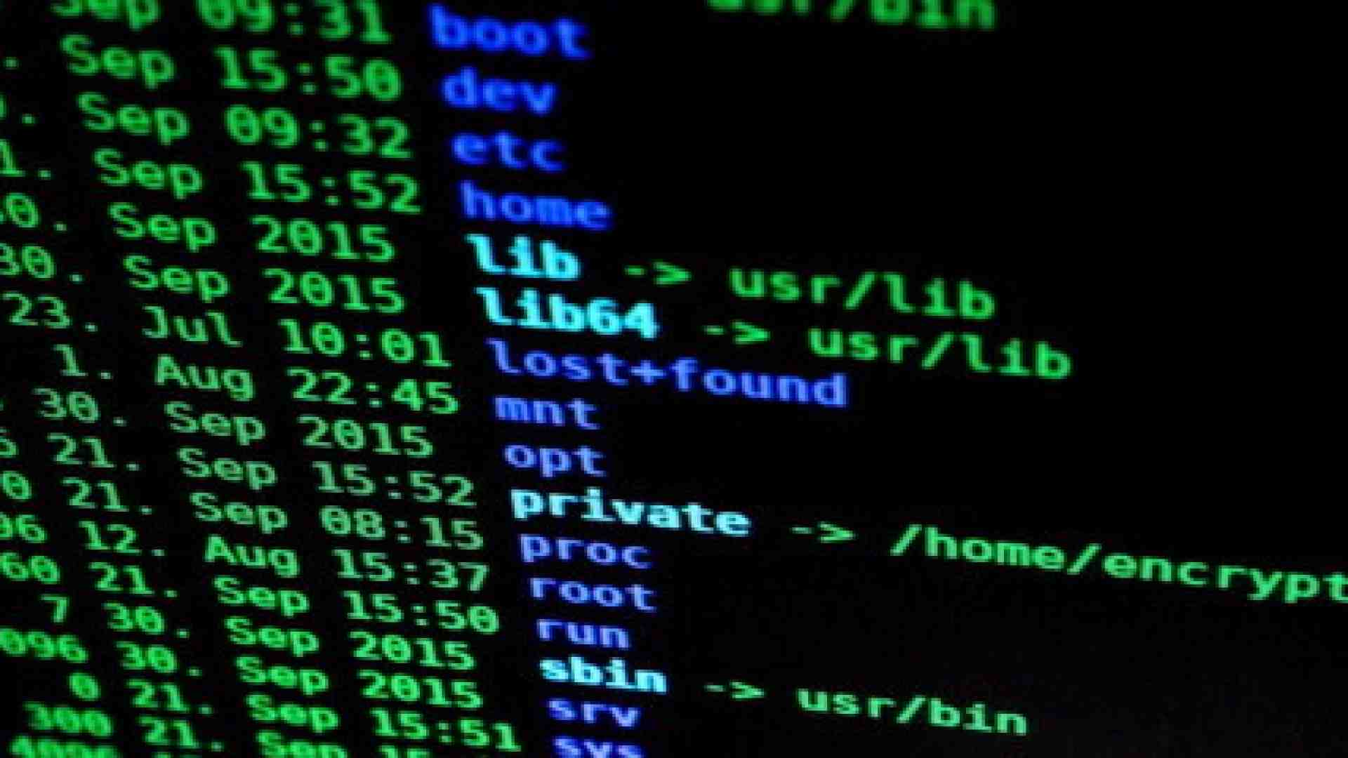Immagine di Fabbriche troll 2.0. Un’operazione Europol in Lettonia e l’ombra della guerra ibrida nelle sim farm