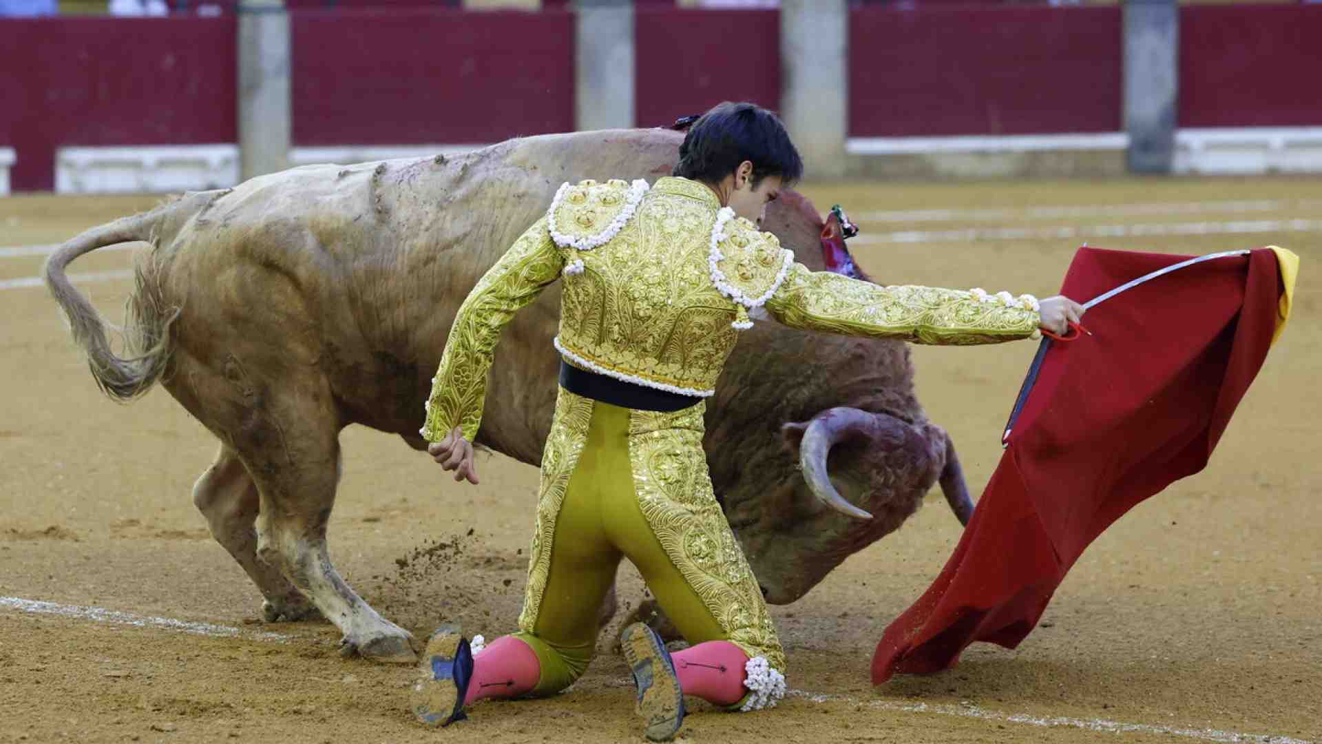 Immagine di La corrida, come il cinema, ci espone al mistero della natura indifferente