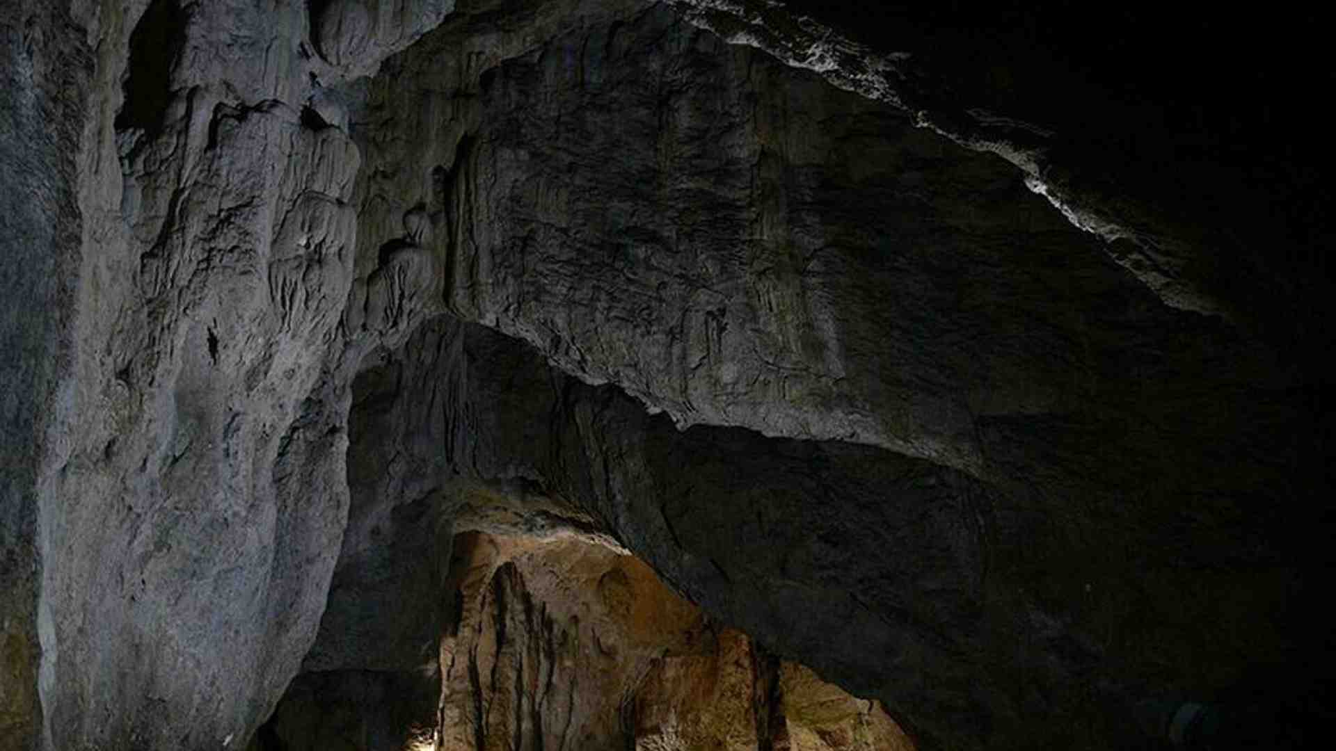 Immagine di La parola migrante evoca paura, ma la nostra esistenza è il risultato di un’antica catena di spostamenti