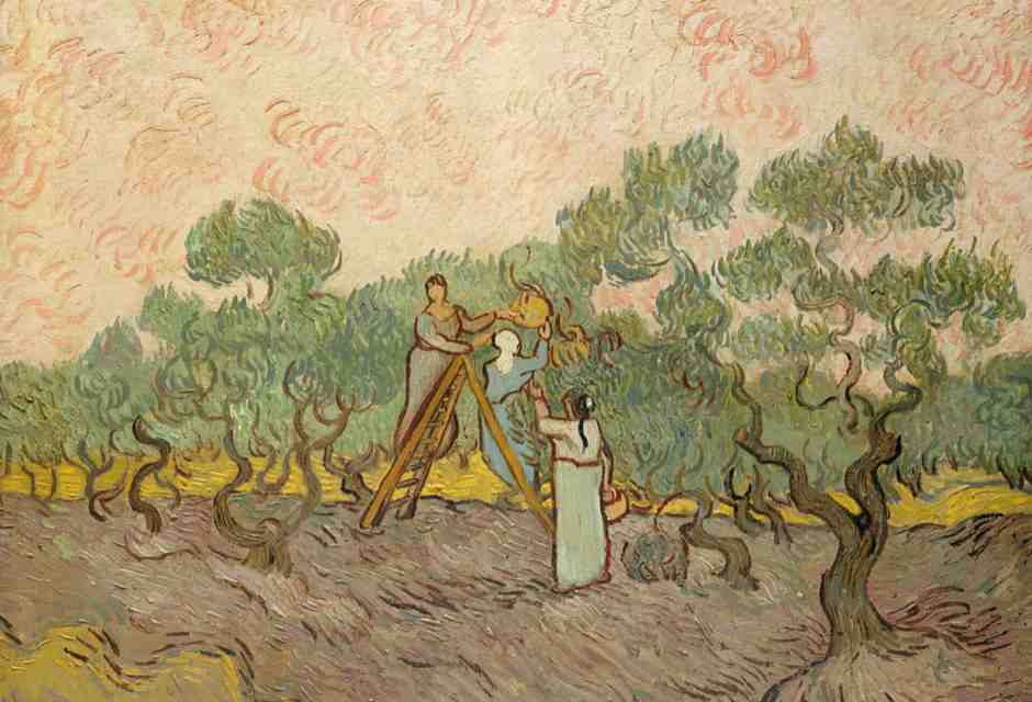 Vincent Van Gogh, "Raccolta delle olive", 1889