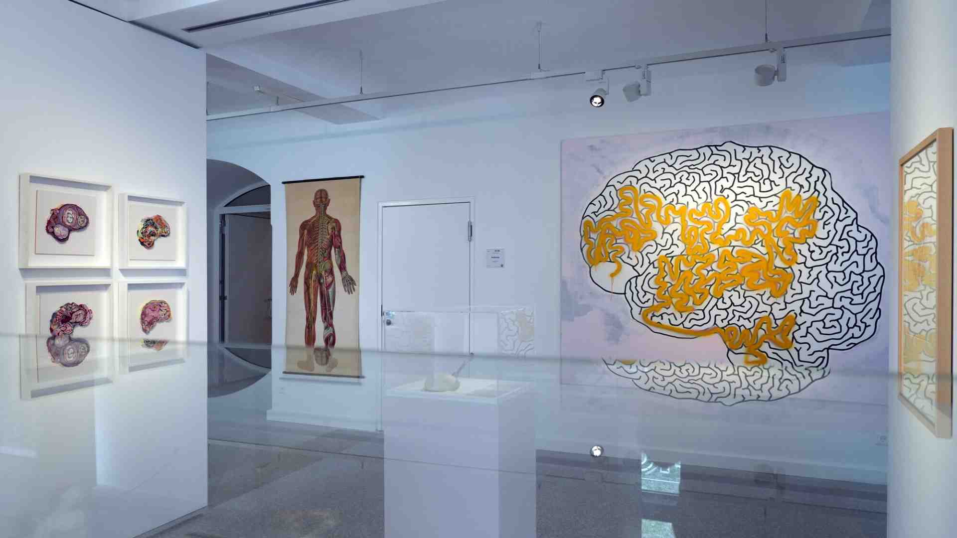 Immagine di Nuove evidenze sullo sviluppo neurale: genetica e ambiente non sono opposti