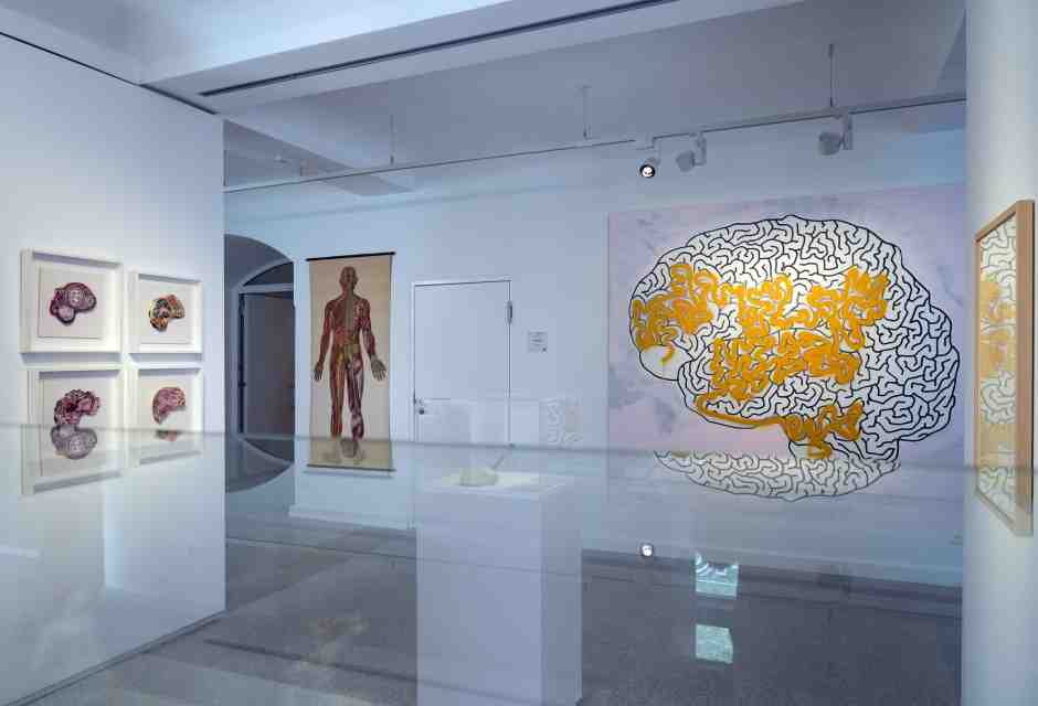 Charit&eacute; Medical History Museum di Berlino (Getty)&nbsp;<br />