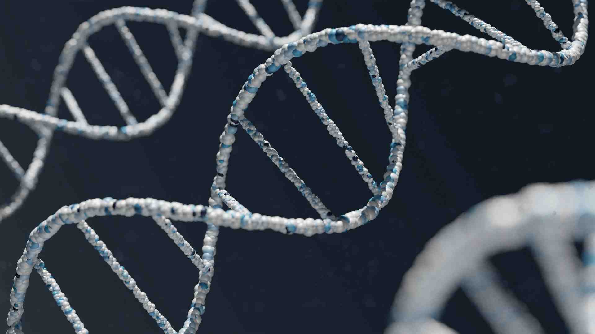Immagine di Una grande novità nella biologia molecolare: il codice genetico può essere ambiguo