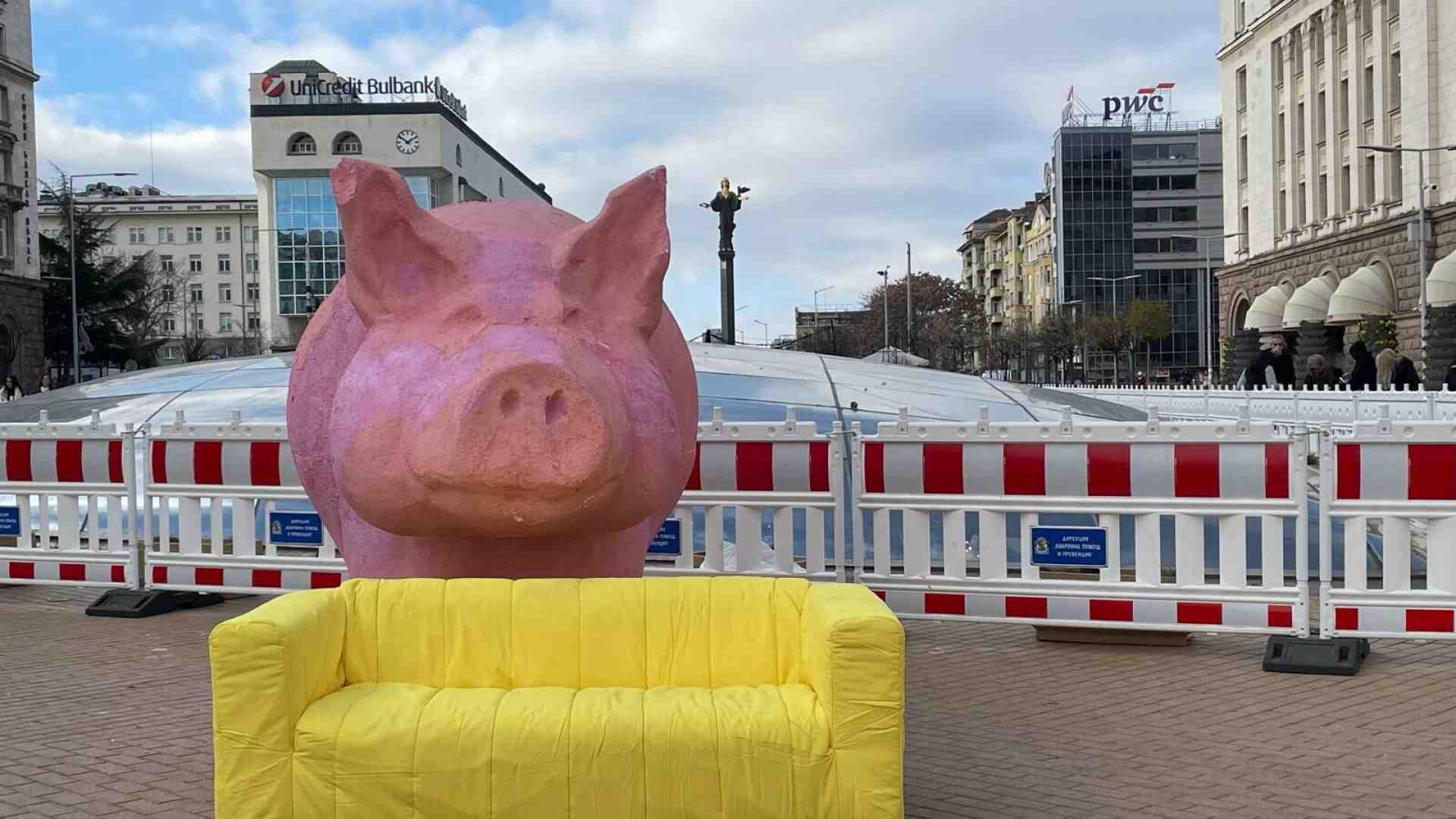 Immagine di Sofia contro i maiali