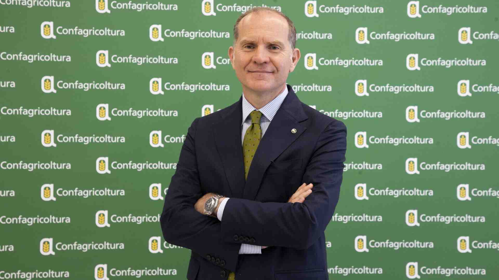 Immagine di “L’agricoltura non vuole fare la fine dell’automotive”. Parla Giansanti