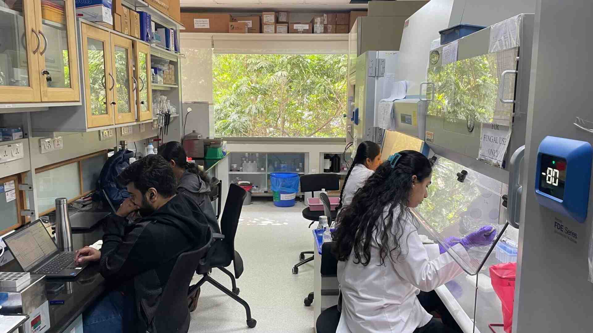 Immagine di Ecco a voi la Silicon India