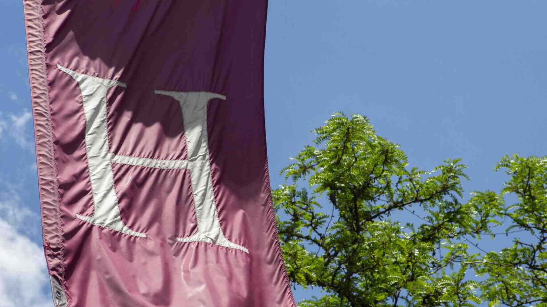 Immagine di L’addio a Harvard del classicista Hankins e l’esclusione stolta della storia dell’occidente