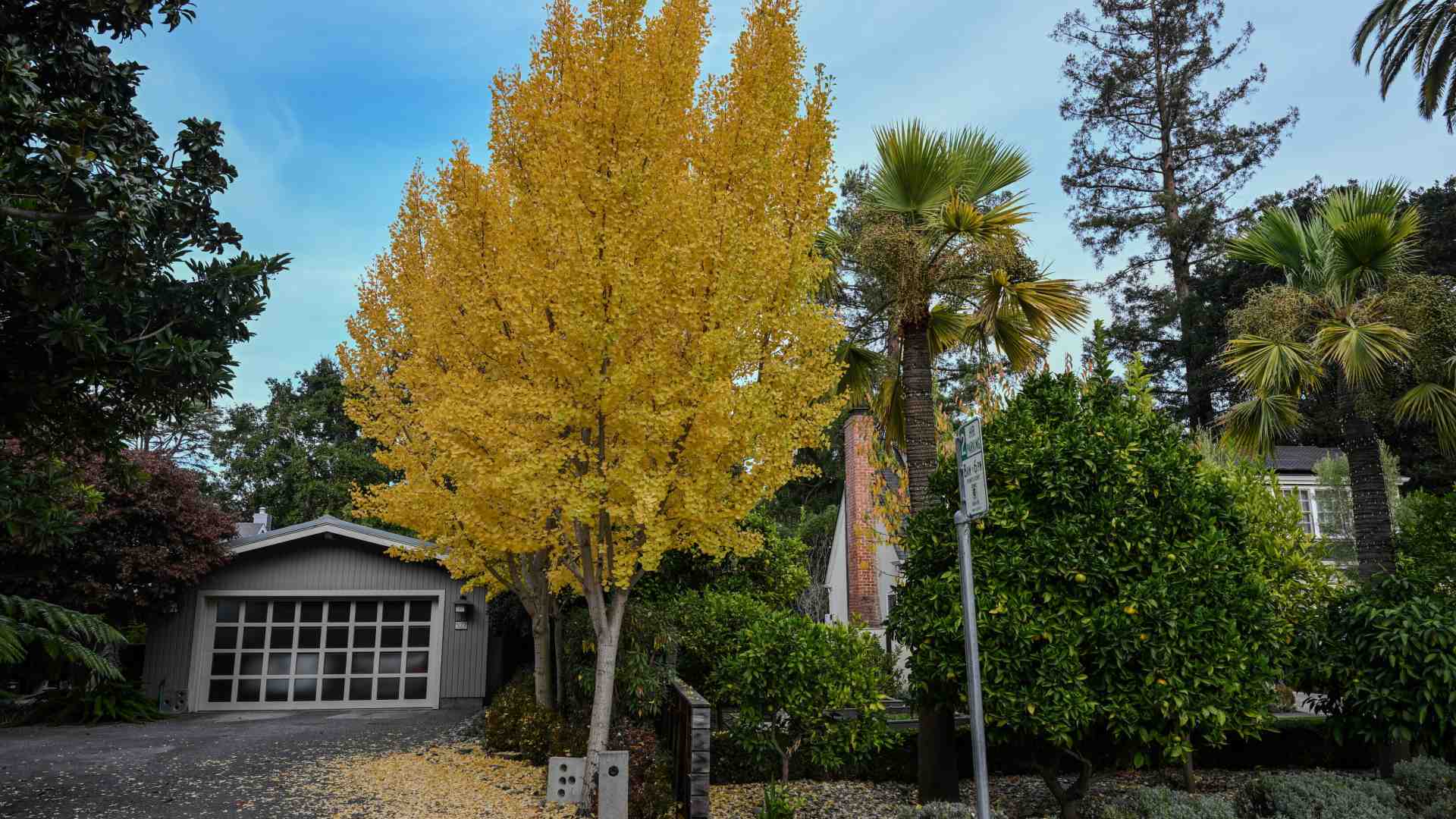 Immagine di In Silicon Valley i miliardari non vogliono più vicini di casa
