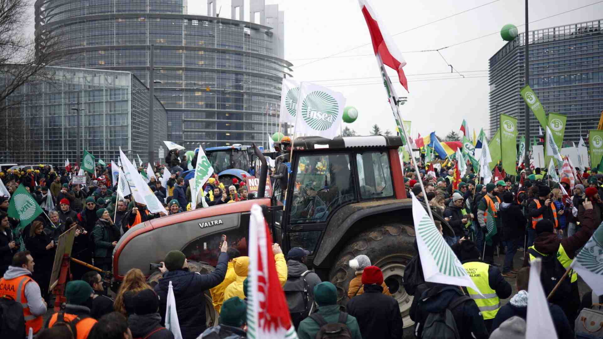 Immagine di Le impronte contro il Mercosur e i populismi di destra e di sinistra sull'economia