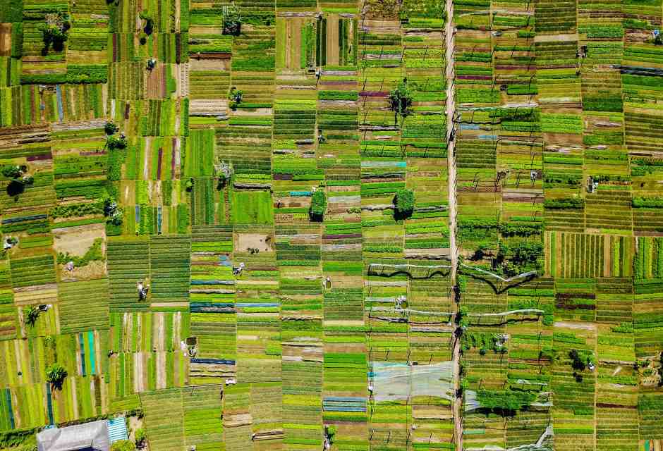 Foto di Rod Long su Unsplash