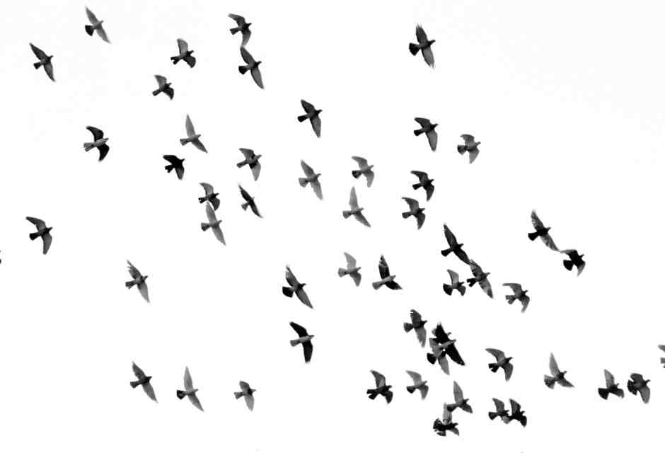 Foto di Mehdi Sepehri su Unsplash