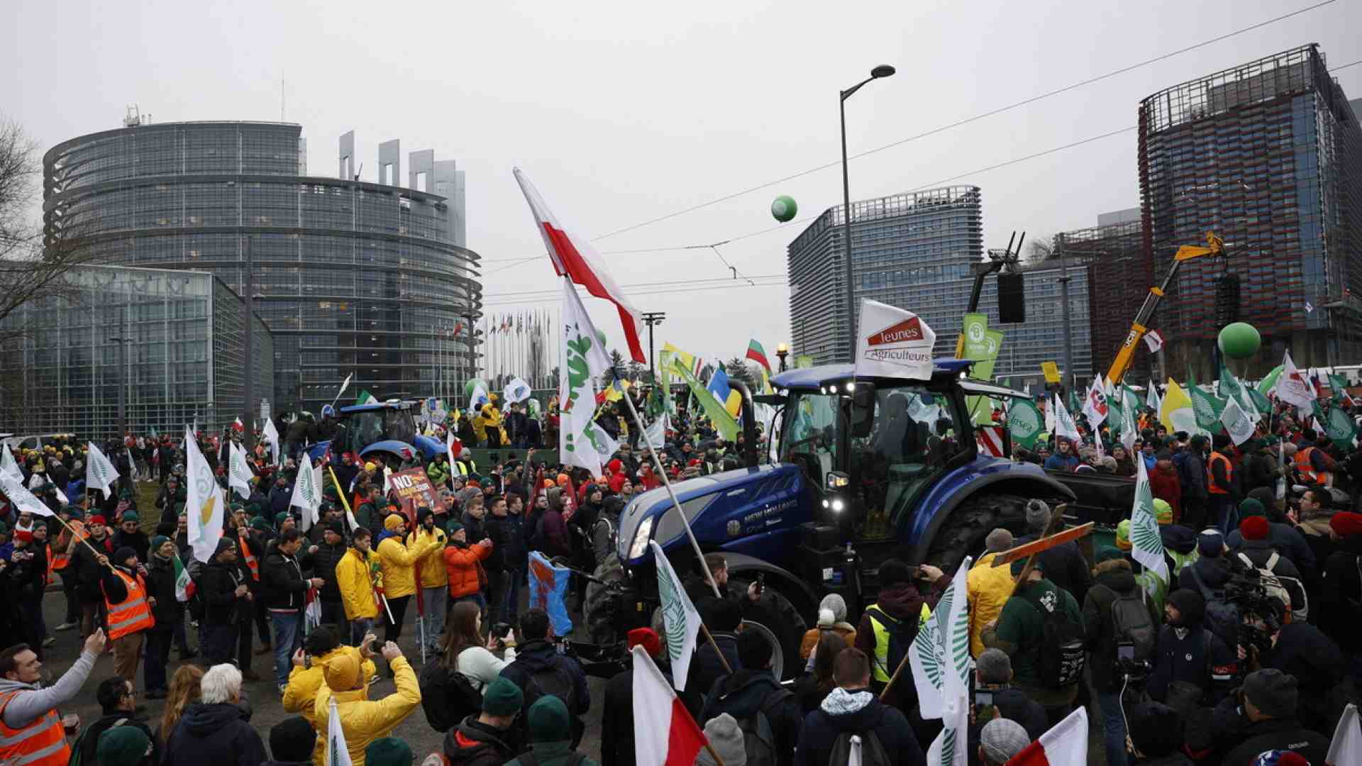 Immagine di La rivolta delle imprese dopo il blocco del Mercosur