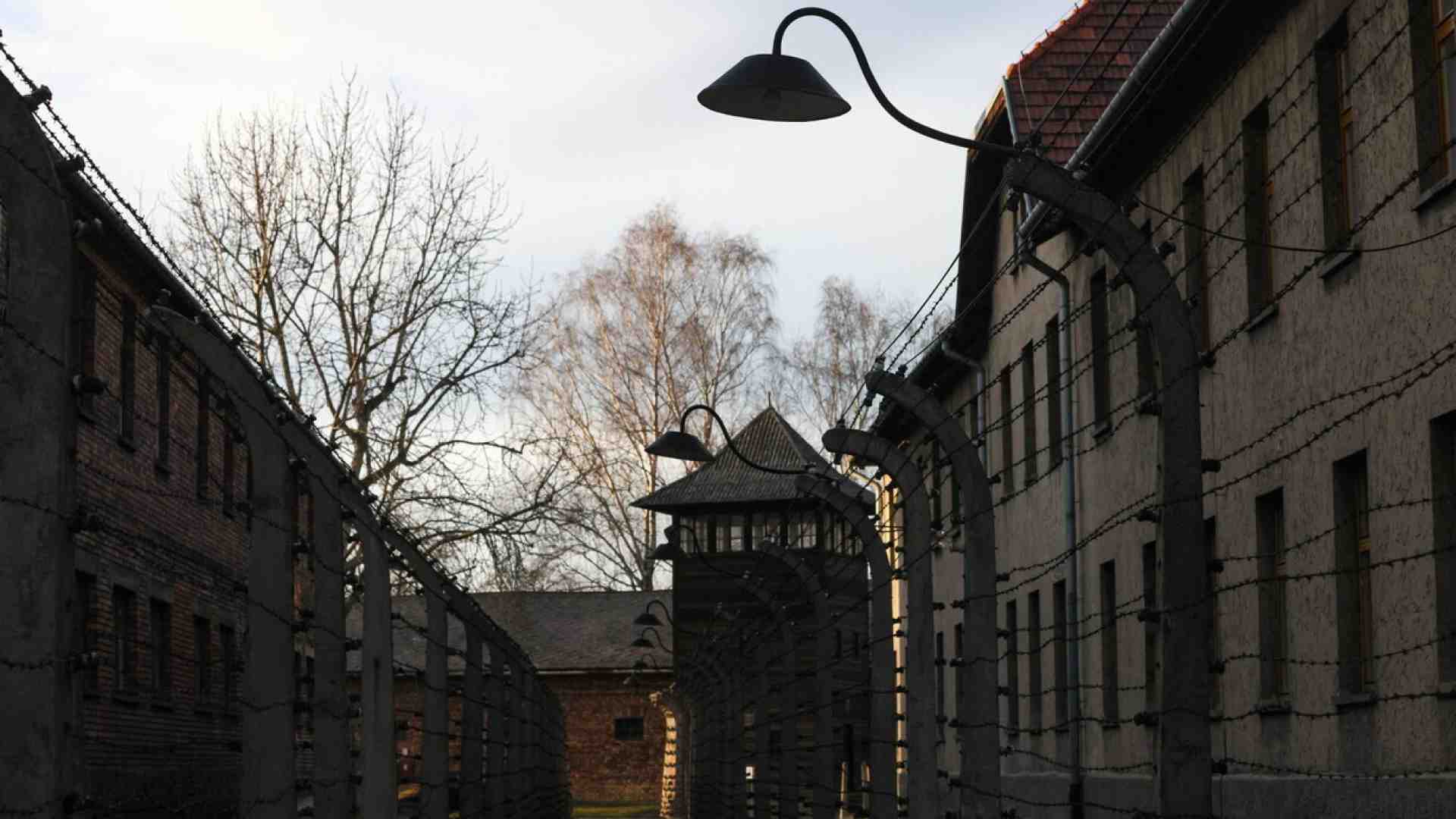 Immagine di Il dentifricio al radio e le bugie di un chimico ebreo, inventore per i nazisti