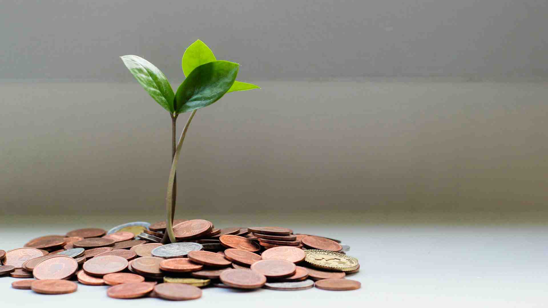 Immagine di Il risparmio come gesto civile