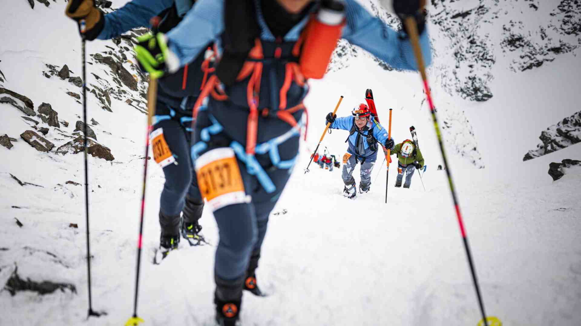 Immagine di Lo scialpinismo, un ritorno alle origini