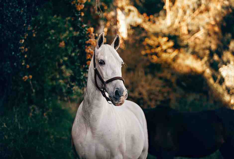 Foto di Helena Lopes su Unsplash