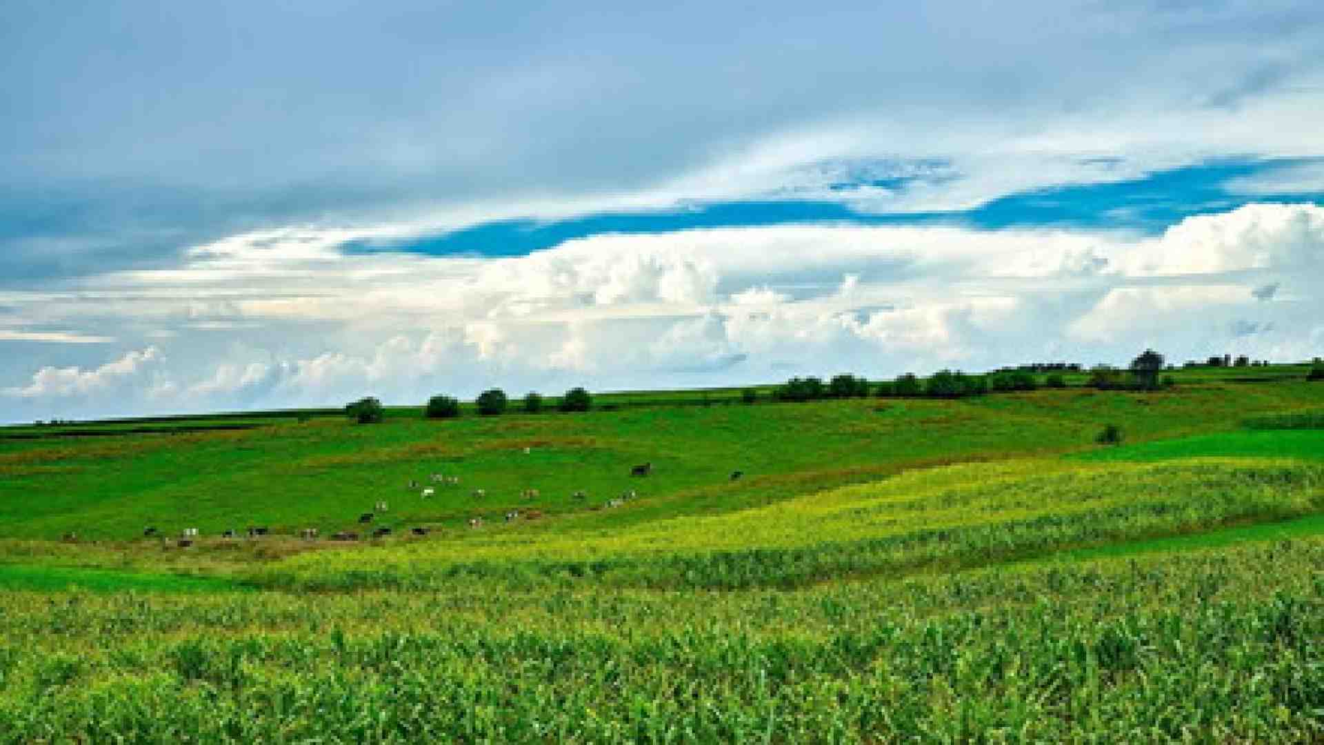 Immagine di Storia di una diserzione e di una fattoria sperduta. Un soldato col rossetto