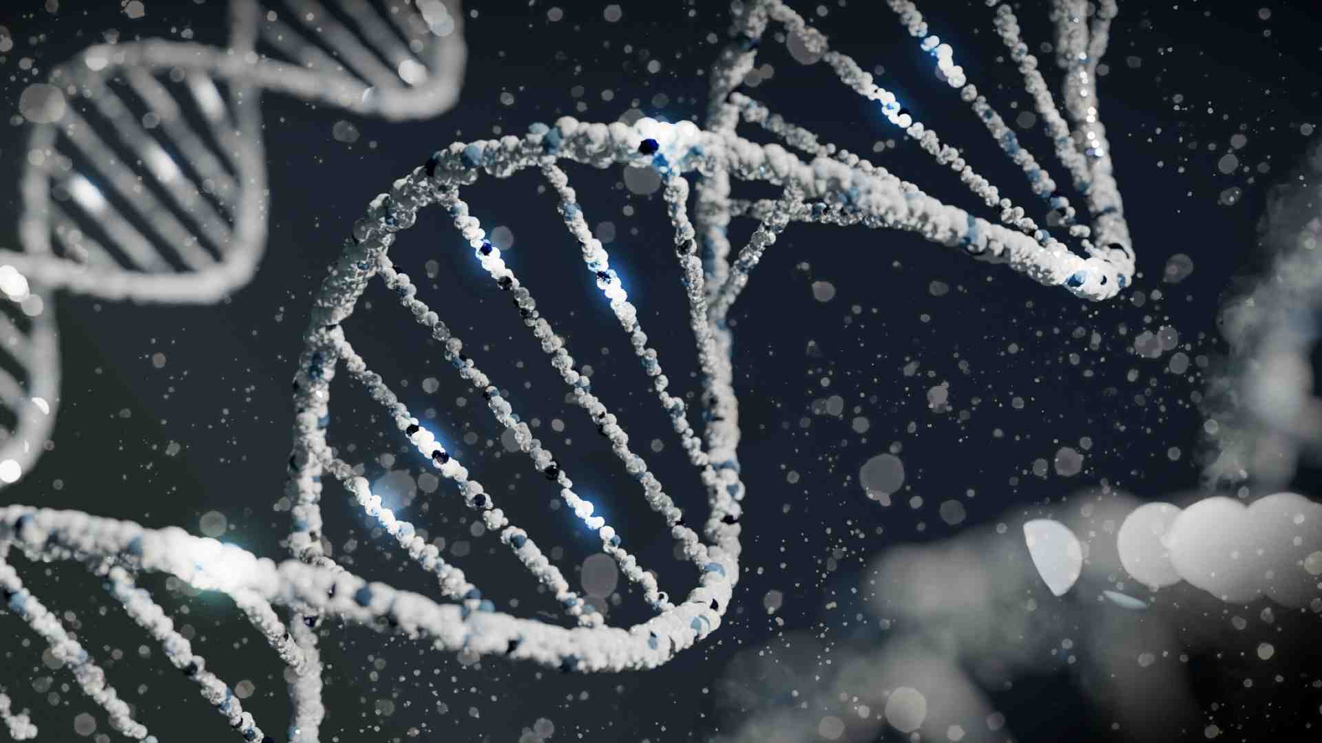 Immagine di Tanti livelli intrecciati. La selezione naturale non è un processo lineare