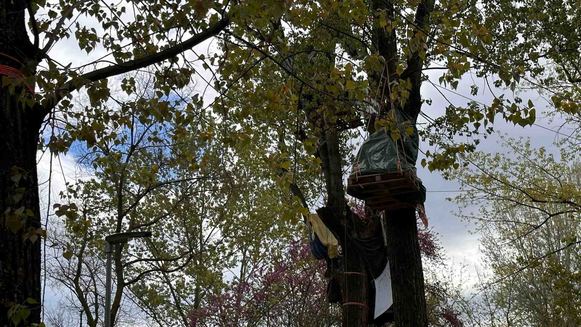 Immagine di Madrid: "Sul Museo dei bambini andiamo avanti. Le proteste del Mu.Basta sono un accanimento"