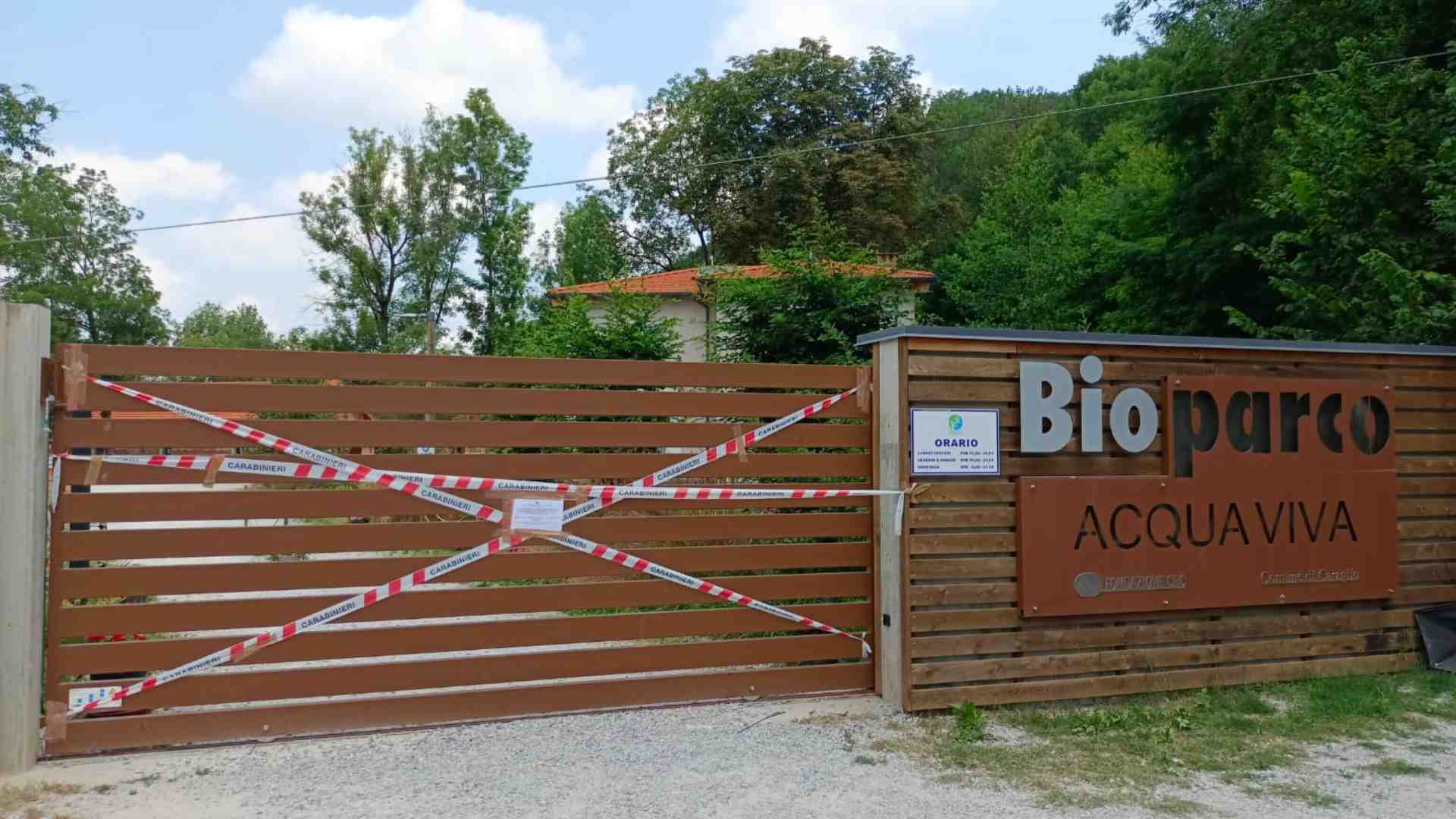 Immagine di La piccola Anisa che non sapeva nuotare e un’accusa di omicidio che può arrivare fino all’Onu