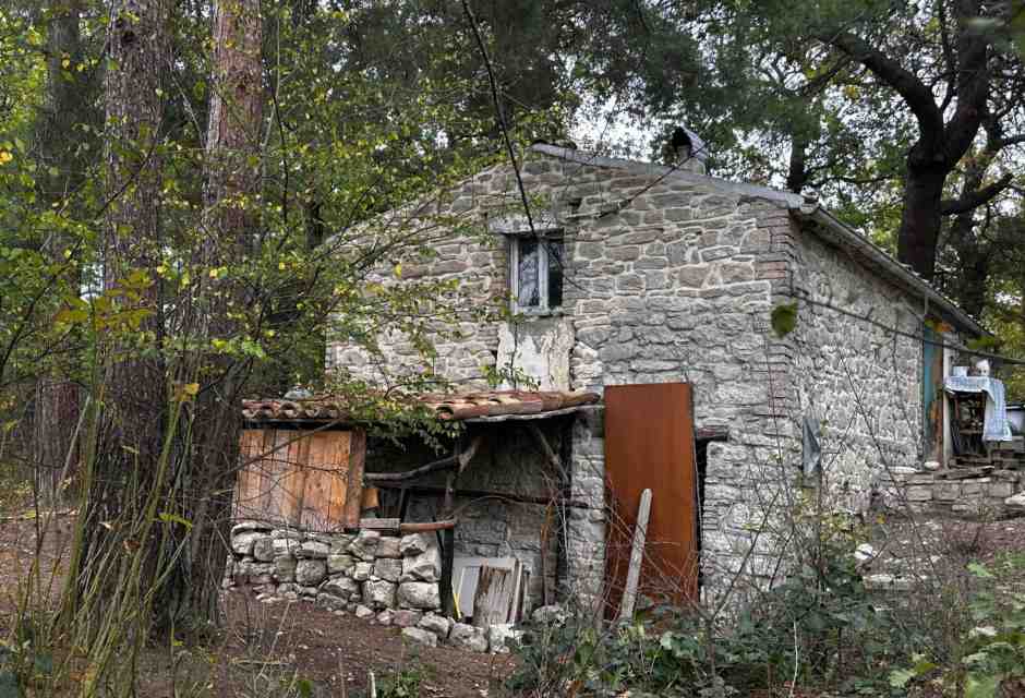 La casa nel bosco a Palmoli dove vivono Nathan Trevallion e Catherine Birmingham (foto Ansa) <br />