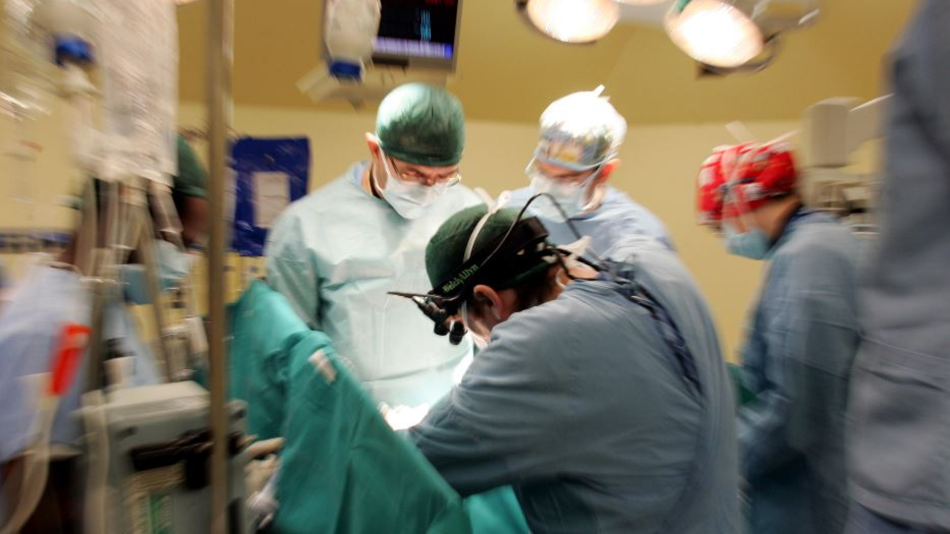 Immagine di Nel 2024 record di organi donati. «Ma tra i giovani troppi dinieghi»