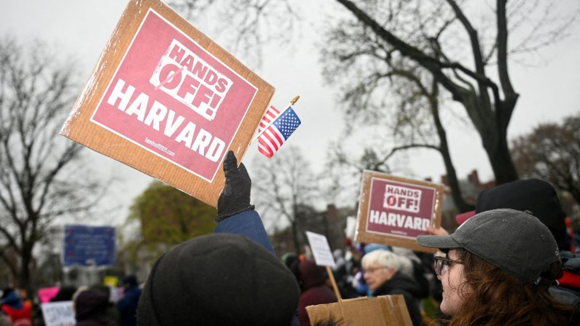 Immagine di Contro Trump si compatta il fronte delle università: è la carica dei 120