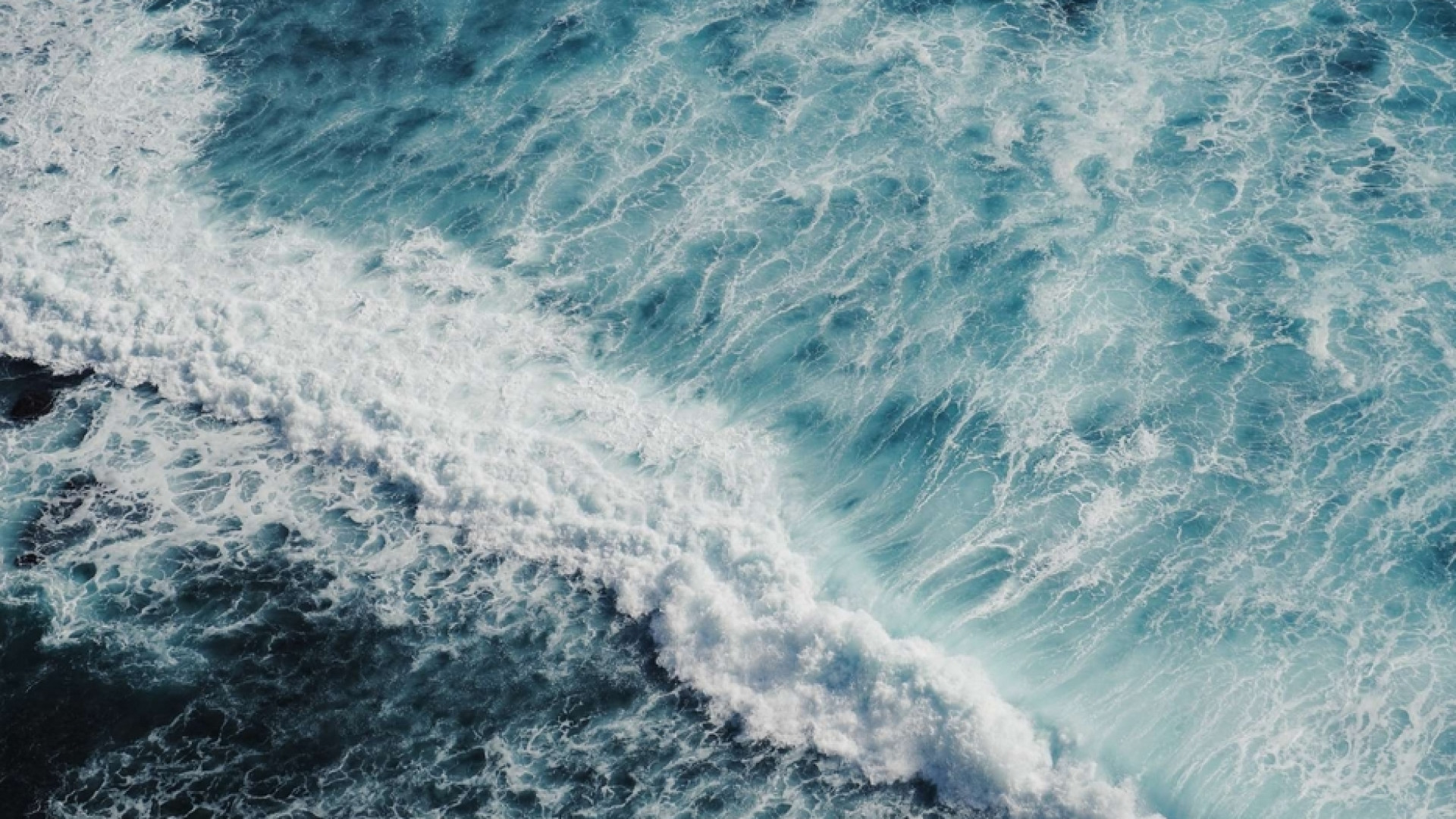 Immagine di La filosofia nasce dal mare?