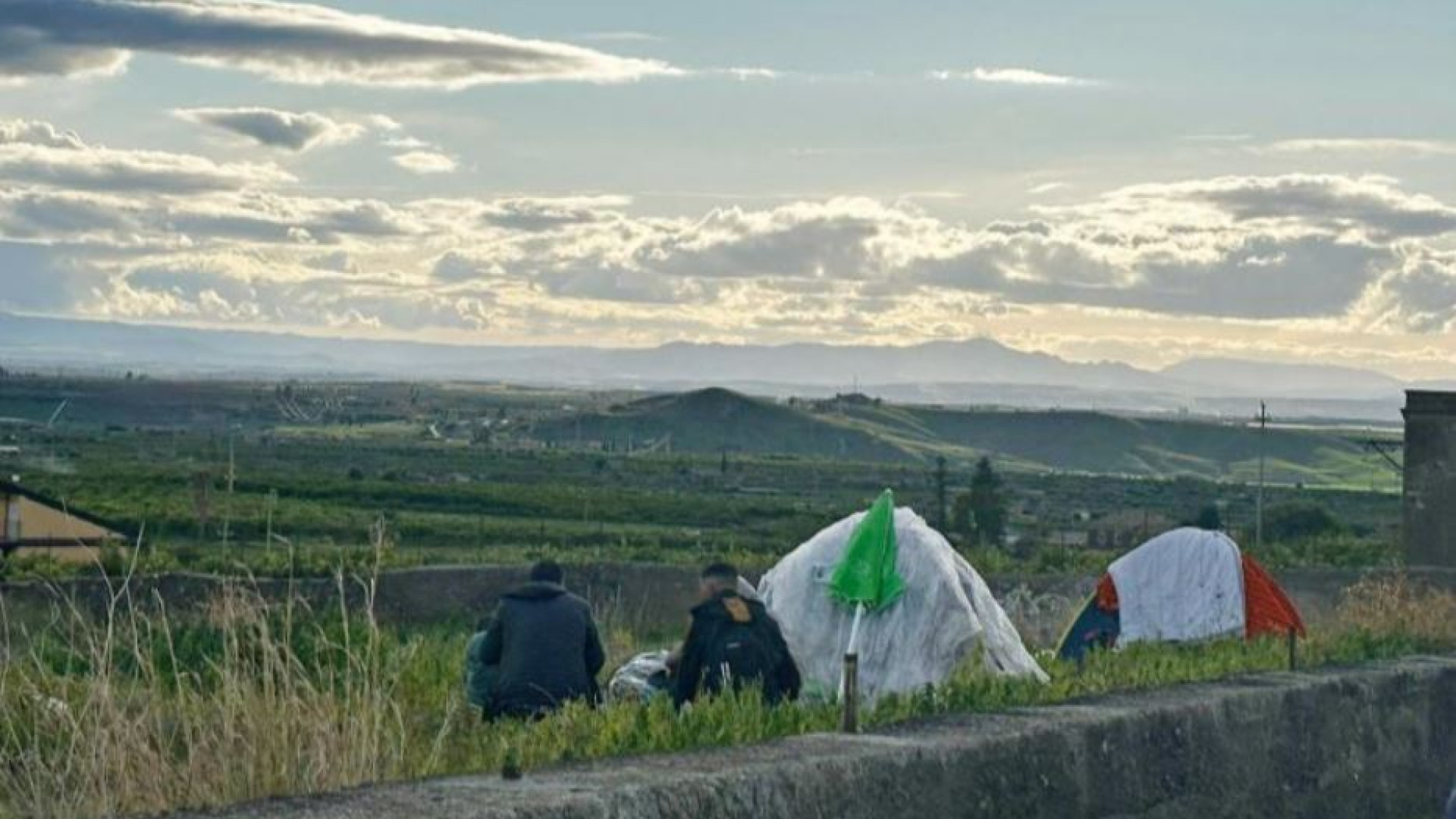 Immagine di I disperati delle arance: 30 euro al giorno per 15 ore di lavoro
