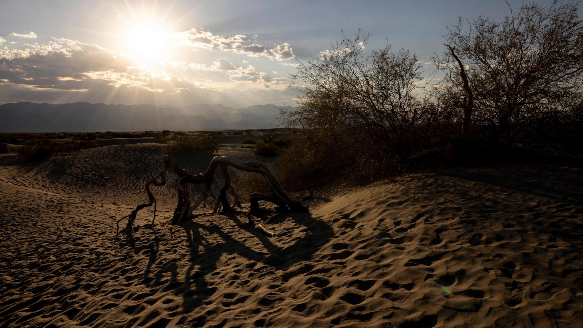 Immagine di Il 2024 è stato l'anno più caldo di sempre