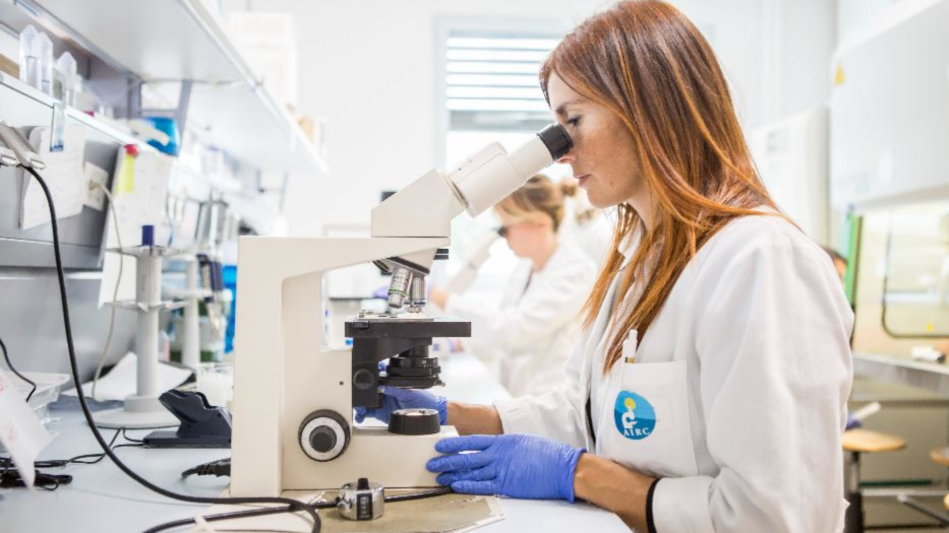 Immagine di In Italia 390mila nuovi casi di tumore nel 2024. Il 40% è prevenibile