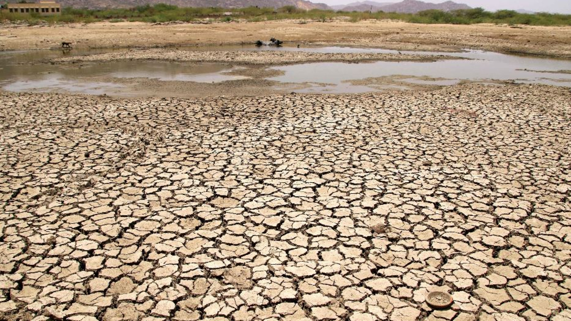 Immagine di L’uragano Donald si abbatte sul clima. E preoccupa