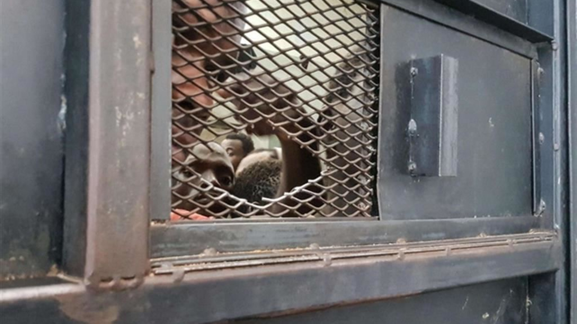 Immagine di Caso Almasri: una vittima di torture denuncia Nordio, Piantedosi e Meloni