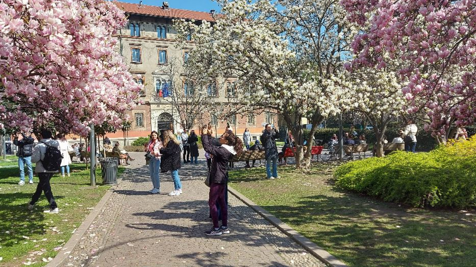 Immagine di La fioritura nella piazza di Acutis. Una bellezza che conquista tutti