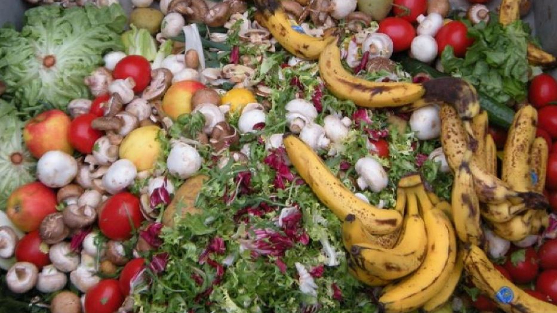 Immagine di Lo spreco a tavola continua a crescere. E sono i più poveri a buttare più cibo