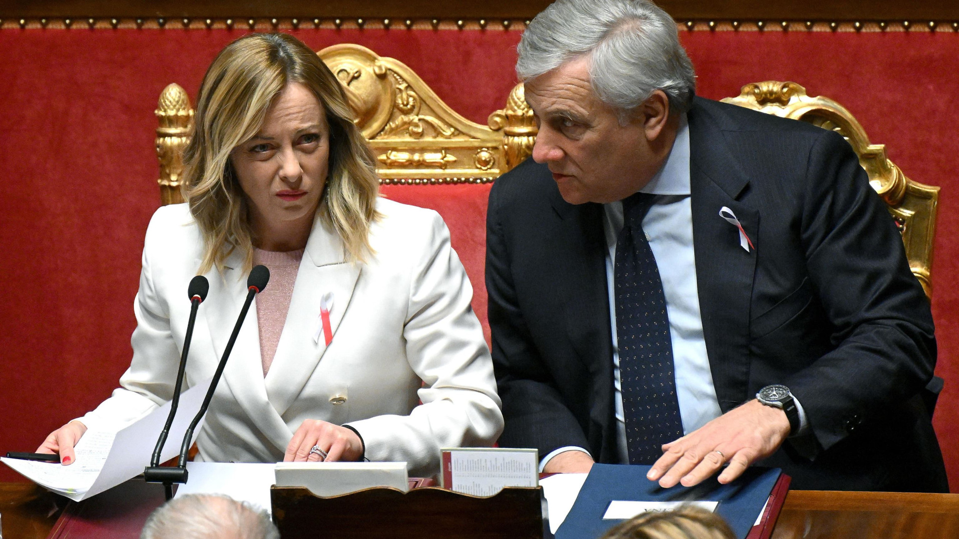Immagine di Meloni: «Nessun ritardo sul Pnrr, rivedremo le pensioni dei medici»