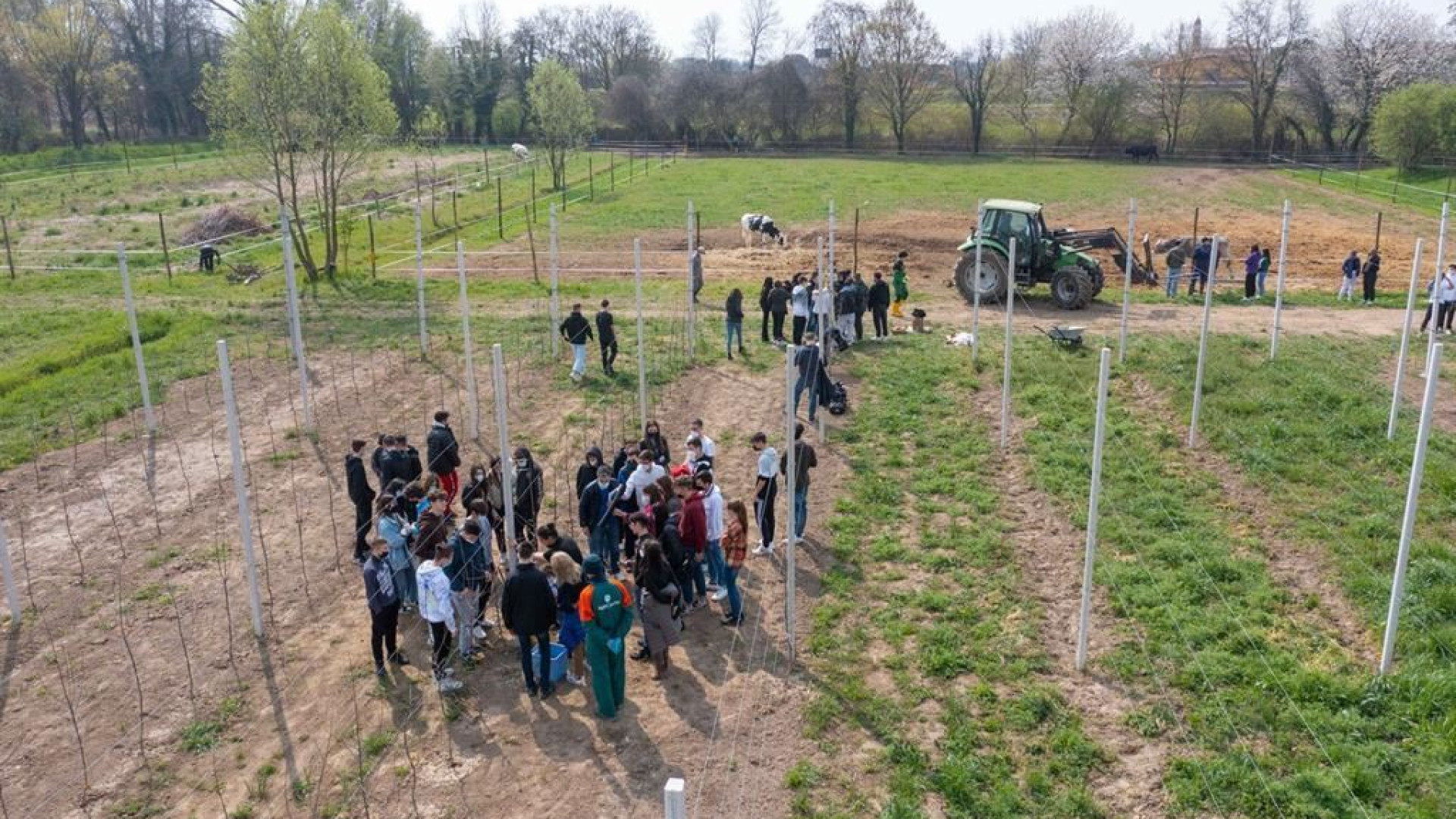 Immagine di Dai campi alla tavola passando dalla tecnologia