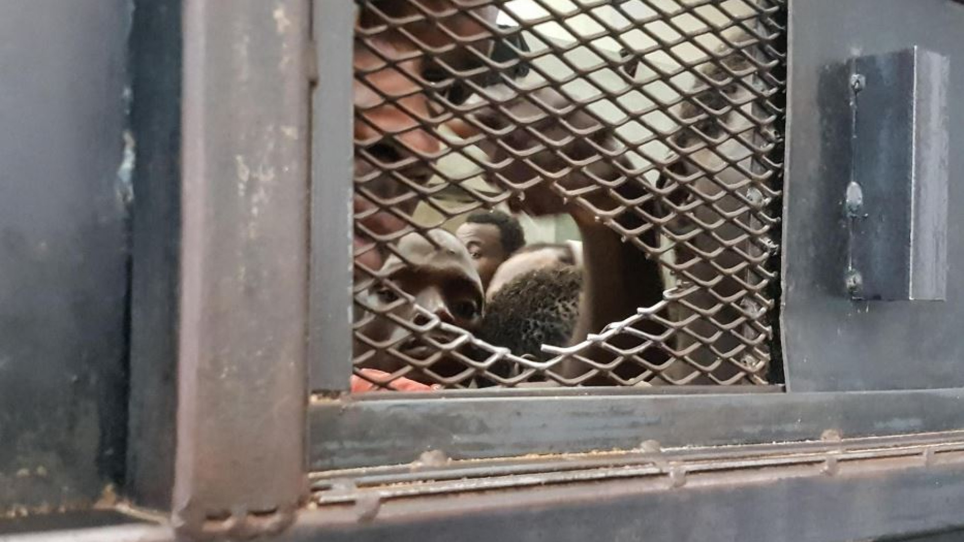 Immagine di Traffico migranti, arrestati due fratelli bengalesi