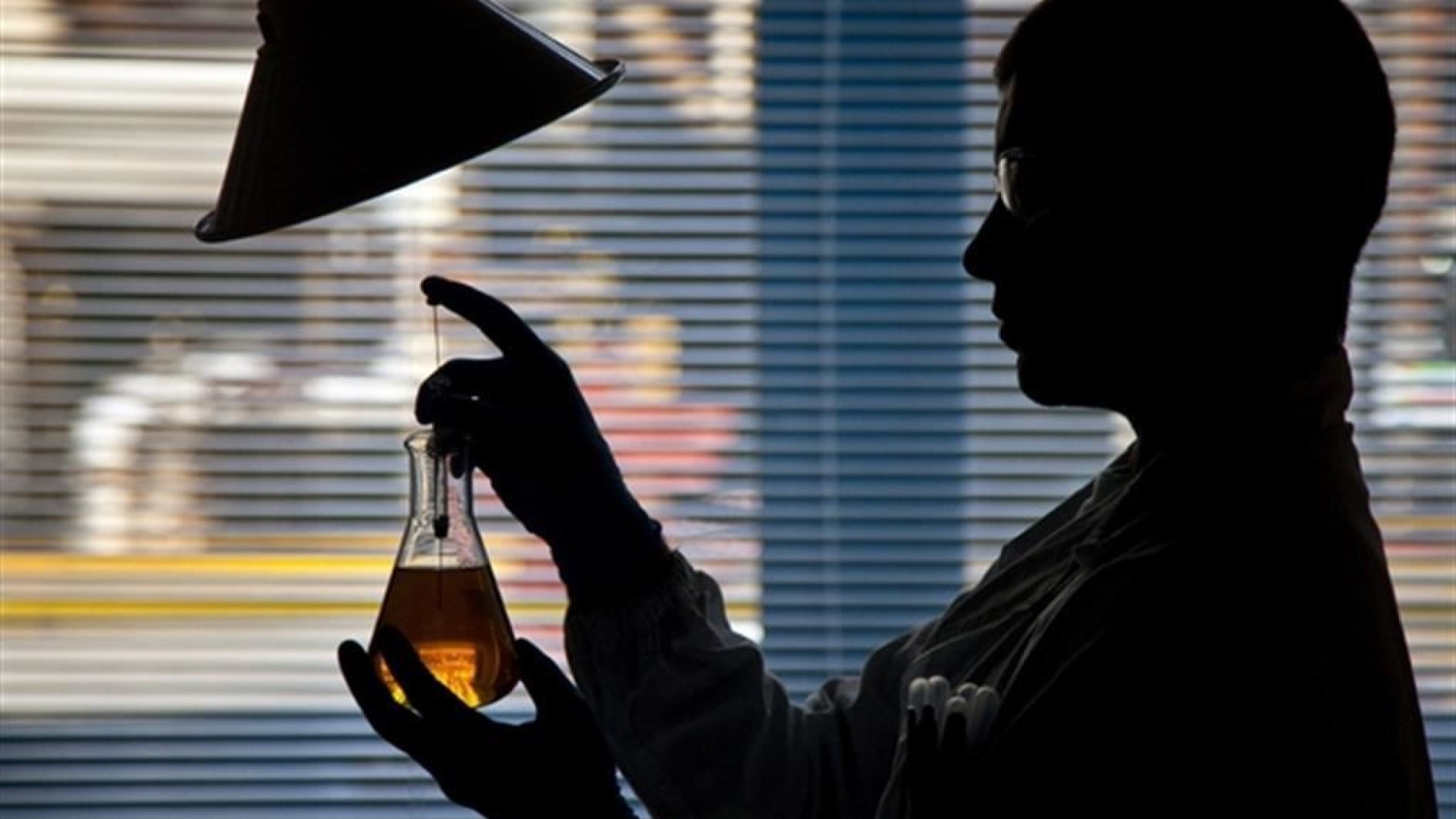 Immagine di Tra quote "rosa" e medicina di genere