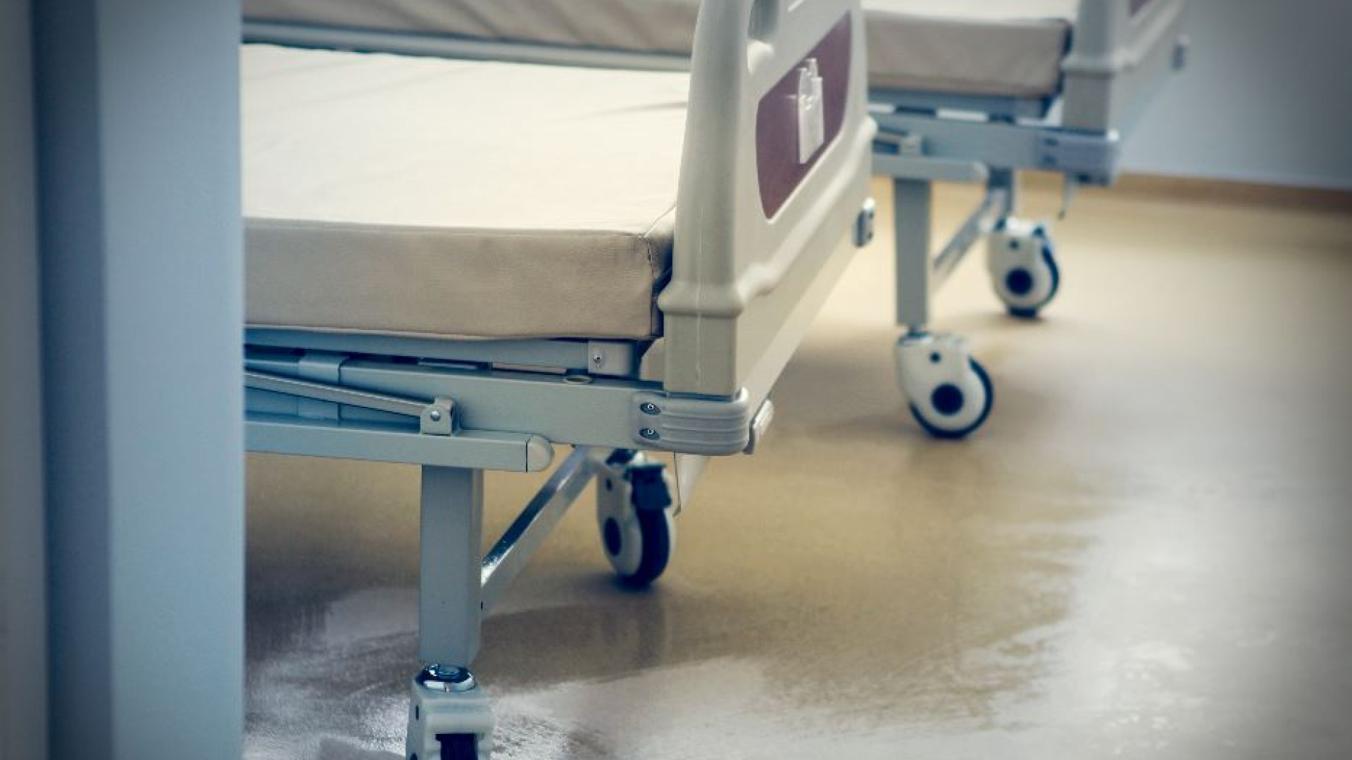 Immagine di «Fuori l’ideologia dal sistema sanitario, al centro c’è solo la vita»