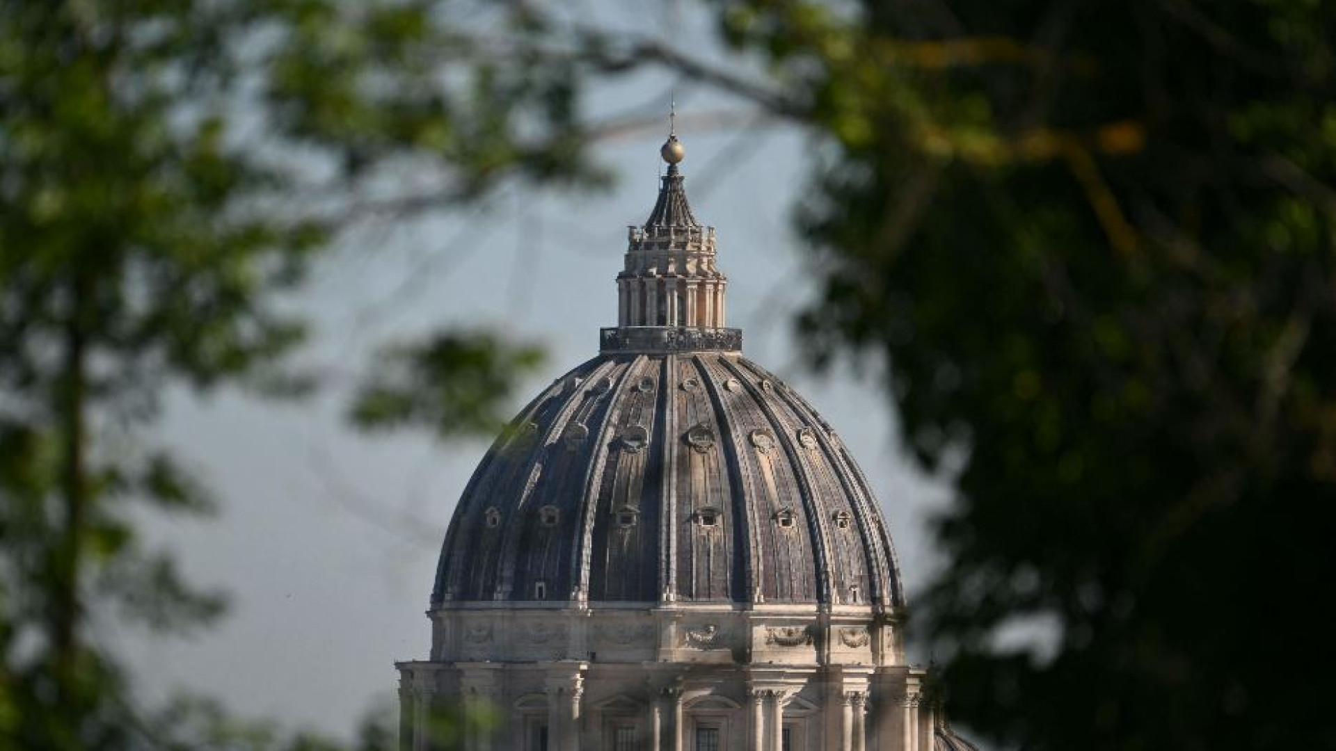 Immagine di Da dove vengono i cardinali che eleggeranno il Papa