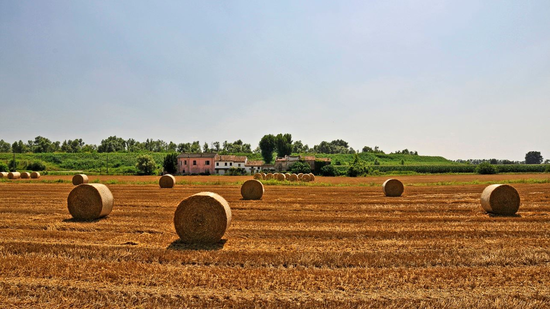 Immagine di «Vado a vivere in campagna». La tentazione di un milanese su due