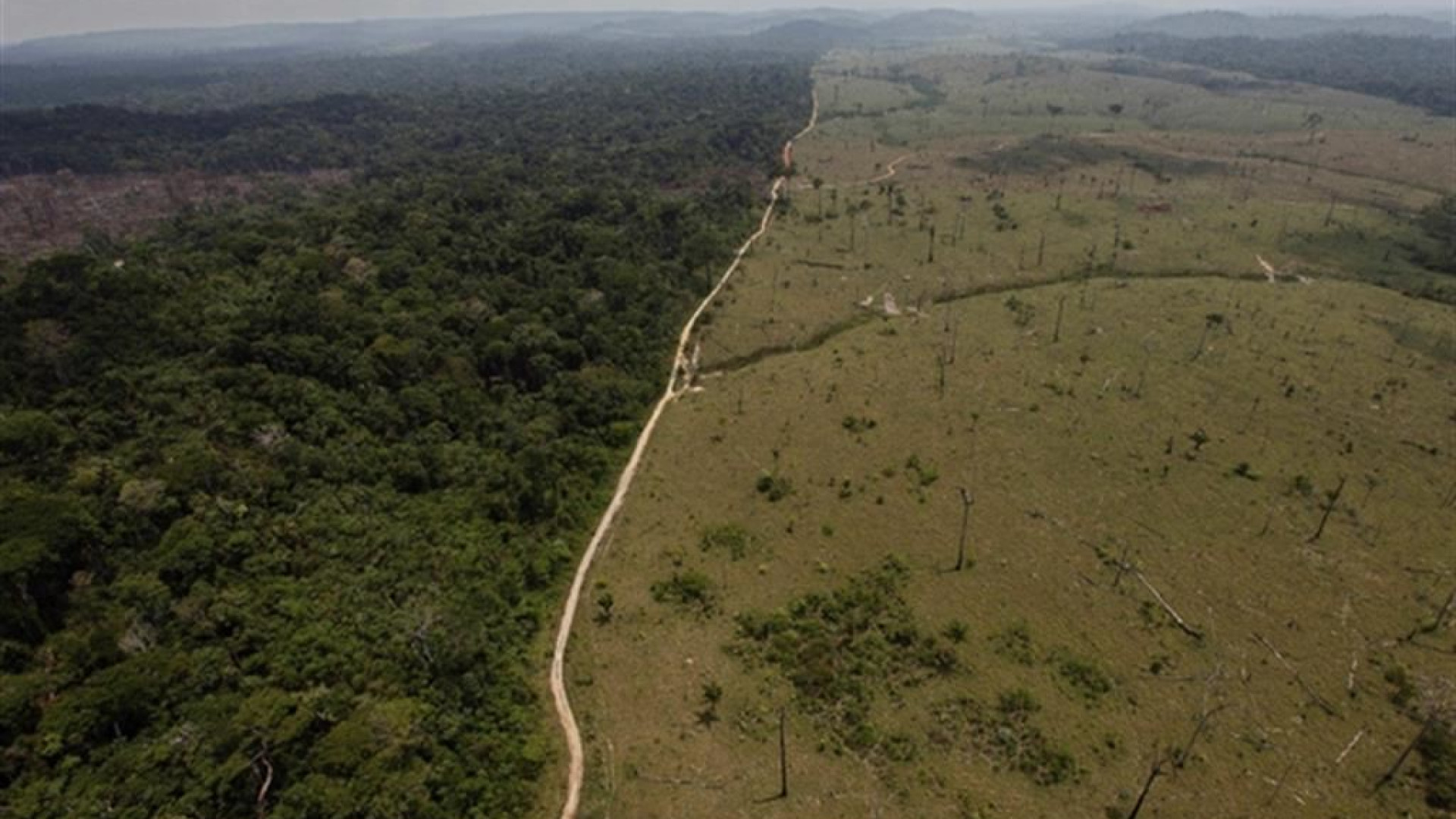 Immagine di Quando la biodiversità incentiva l'occupazione